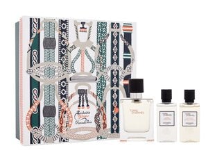 Rinkinys Hermes Terre D'Hermes EDT vyrams: tualetinis vanduo 50 ml + dušo želė 40 ml + losjonas po skutimosi 40 ml kaina ir informacija | Kvepalai vyrams | pigu.lt