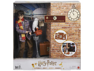 Фигурка Гарри Поттера с совой и аксессуарами цена и информация | Игрушки для мальчиков | pigu.lt