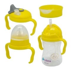 Vaikiška gertuvė B. BOX Lemon 4 in 1, 4 mėn+, 240 ml kaina ir informacija | Buteliukai kūdikiams ir jų priedai | pigu.lt