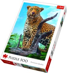 Dėlionė Trefl Leopardas, 500 d. kaina ir informacija | Dėlionės (puzzle) | pigu.lt