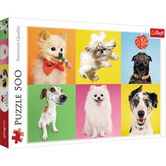 Dėlionė Trefl Šunys, 500 d. kaina ir informacija | Dėlionės (puzzle) | pigu.lt