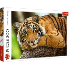 Dėlionė Trefl Tiger, 500 d. цена и информация | Пазлы | pigu.lt