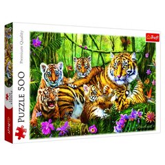 Dėlionė Trefl Tigrai, 500 d. kaina ir informacija | Dėlionės (puzzle) | pigu.lt