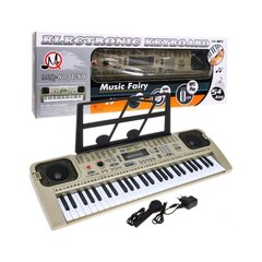 Vaikiškas elektroninis pianinas su stovu ir mikrofonu 807 цена и информация | Развивающие игрушки | pigu.lt