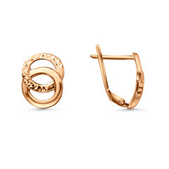 Auksiniai auskarai moterims ZAU0165 kaina ir informacija | Auskarai | pigu.lt