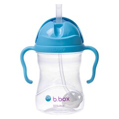 Neišsiliejanti gertuvė su šiaudeliu B.Box Blueberry, 6mėn+, 240ml kaina ir informacija | Buteliukai kūdikiams ir jų priedai | pigu.lt