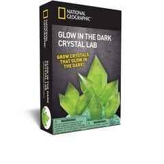 Kristalų auginimo rinkinys National Geographic Glow In Dark Crystal Green цена и информация | Развивающие игрушки | pigu.lt