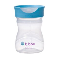 Mokomasis puodelis B.Box Blueberry, 240ml kaina ir informacija | Buteliukai kūdikiams ir jų priedai | pigu.lt