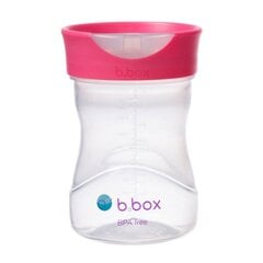 Mokomasis puodelis B.Box Raspberry, 240ml kaina ir informacija | Buteliukai kūdikiams ir jų priedai | pigu.lt