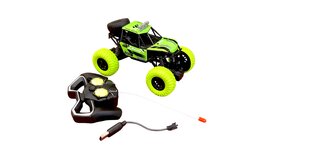 Радиоуправляемый металлический гоночный джип, зеленый цена и информация | Игрушки для мальчиков | pigu.lt
