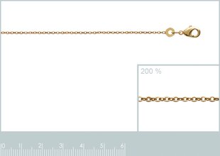 Цепочка с золотым покрытием 750°, Mon tresor цена и информация | Украшения на шею | pigu.lt