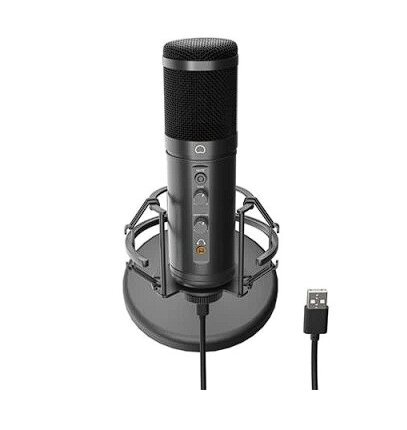 Genesis Radium 600 G2 NGM-2091 цена и информация | Mikrofonai | pigu.lt