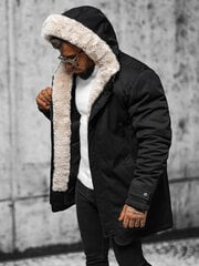 Зимняя куртка из очень прочной ткани рипстоп цена и информация | Мужские куртки | pigu.lt