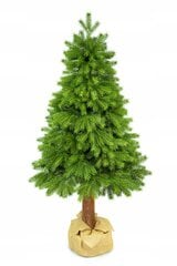 Dirbtinė Kalėdų eglutė, 160 cm kaina ir informacija | Eglutės, vainikai, stovai | pigu.lt
