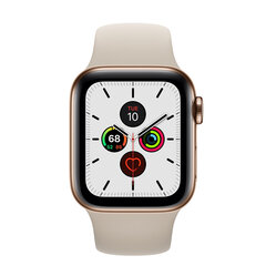 Apple Watch Series 5 40mm Stainless steel цена и информация | Смарт-часы (smartwatch) | pigu.lt