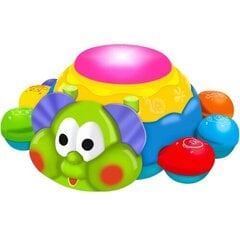 Развивающая игрушка со звуками и светом Пчелка Kruzzel 22467 цена и информация | Развивающие игрушки | pigu.lt
