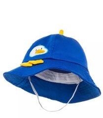 Kepurė nuo saulės berniukams, mėlyna kaina ir informacija | Kepurės, pirštinės, šalikai berniukams | pigu.lt