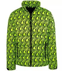Striukė vyrams 13375-6, žalia цена и информация | Мужские куртки | pigu.lt