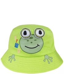 Kepurė berniukams, žalia цена и информация | Шапки, перчатки, шарфы для мальчиков | pigu.lt