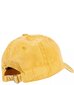 Kepurė berniukams, geltona kaina ir informacija | Kepurės, pirštinės, šalikai berniukams | pigu.lt