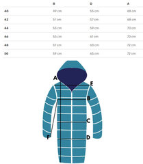 Куртка женская теплая переходная Элегантный капюшон На осень ДИАНА цена и информация | Женские куртки | pigu.lt