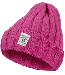 Теплая шапка унисекс Universal Beanie One-color цена и информация | Женские шапки | pigu.lt