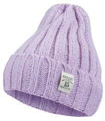 Теплая шапка унисекс Universal Beanie One-color цена и информация | Женские шапки | pigu.lt