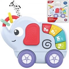 Muzikinis žaislas drambliukas Woopie цена и информация | Игрушки для малышей | pigu.lt