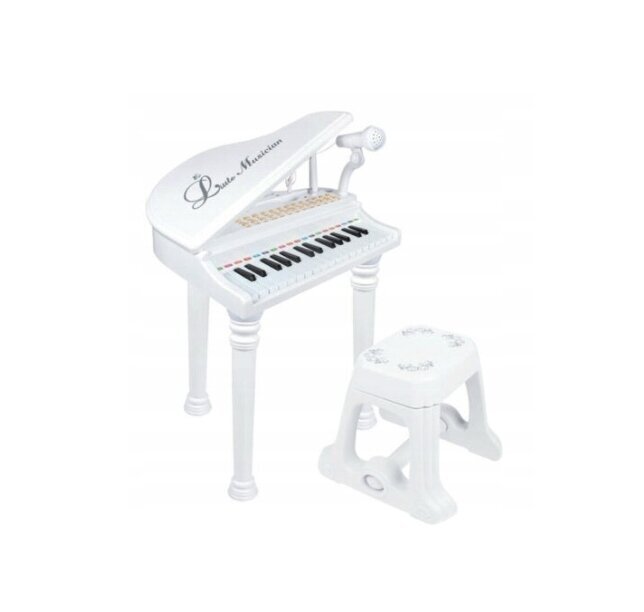 Multimedijos pianinas su mikrofonu AIG, baltas kaina ir informacija | Lavinamieji žaislai | pigu.lt