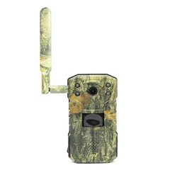 Фотоловушка 4G PNI Hunting 250C цена и информация | Охотничьи принадлежности | pigu.lt