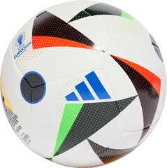 Футбольный тренировочный мяч Adidas Euro24 IN9366 цена и информация | Футбольные мячи | pigu.lt