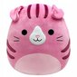 Minkštas pliušinis žaislas Škoto katė Squishmallows, 40 cm kaina ir informacija | Minkšti (pliušiniai) žaislai | pigu.lt