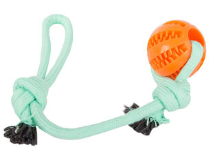 Игрушка для собак с веревкой и мячиками цена и информация | Игрушки для собак | pigu.lt