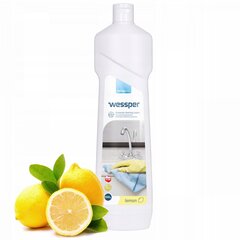 Wessper riebalų valiklis, 550 ml kaina ir informacija | Valikliai | pigu.lt