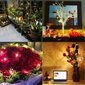 Kalėdinės lemputės su nuotolinio valdymo pulteliu Livman YKUSBTXD001, 20 LED, 2m цена и информация | Girliandos | pigu.lt