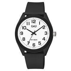 Laikrodis Q&Q V12A-010V kaina ir informacija | Vyriški laikrodžiai | pigu.lt