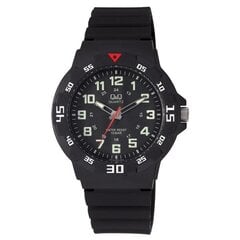 Laikrodis vyriškas Q&Q VR18J001 цена и информация | Мужские часы | pigu.lt