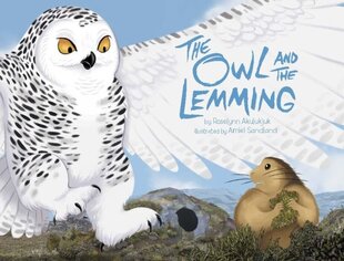 Owl and the Lemming цена и информация | Книги для подростков  | pigu.lt