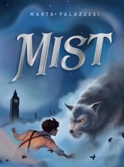 Mist цена и информация | Книги для подростков  | pigu.lt