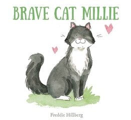 Brave Cat Millie цена и информация | Книги для малышей | pigu.lt
