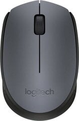 Logitech - M170, серый/черный цена и информация | Мыши | pigu.lt