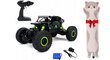 Nuotoliniu būdu valdomas automobilis Rock Crawler 4x4 ir pliušinė pagalvė Katė, 50 cm цена и информация | Žaislai berniukams | pigu.lt