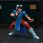 Veiksmo figūrėlė Chun-Li Jada Toys kaina ir informacija | Žaislai berniukams | pigu.lt