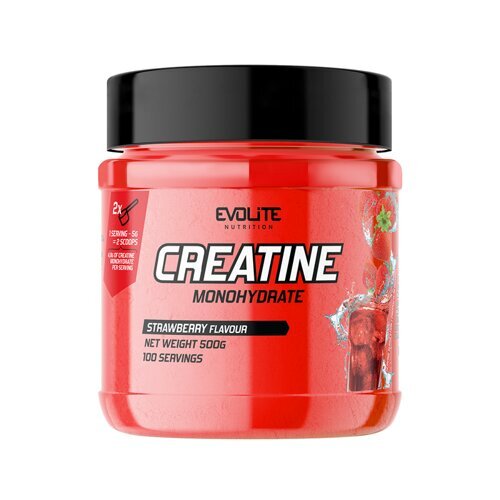 Kreatinas EvoLite Creatine Monohydrate Strawberry, 500g цена и информация | Kreatinas | pigu.lt