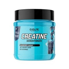 Kreatinas EvoLite Creatine Monohydrate Blueberry, 500g kaina ir informacija | Kreatinas | pigu.lt