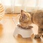 Pakeltas dubuo su laikikliu katėms kaina ir informacija | Dubenėliai, dėžės maistui | pigu.lt