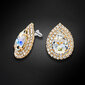 Auskarai moterims DiamondSky „Jasmine“ su Swarovski kristalais DS02A651 kaina ir informacija | Auskarai | pigu.lt