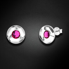 Серебряные серьги Diamond Sky "Астра (Fuchsia)" с кристаллами Swarovski™ DS02A655 цена и информация | Серьги | pigu.lt