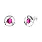 Sidabriniai auskarai moterims DiamondSky „Astra (Fuchsia)“ su Swarovski kristalais DS02A655 kaina ir informacija | Auskarai | pigu.lt