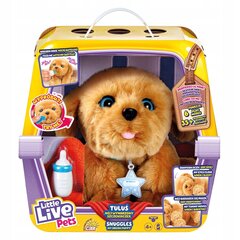 Interaktyvus šuniukas Tulus Little Live Pets kaina ir informacija | Žaislai mergaitėms | pigu.lt